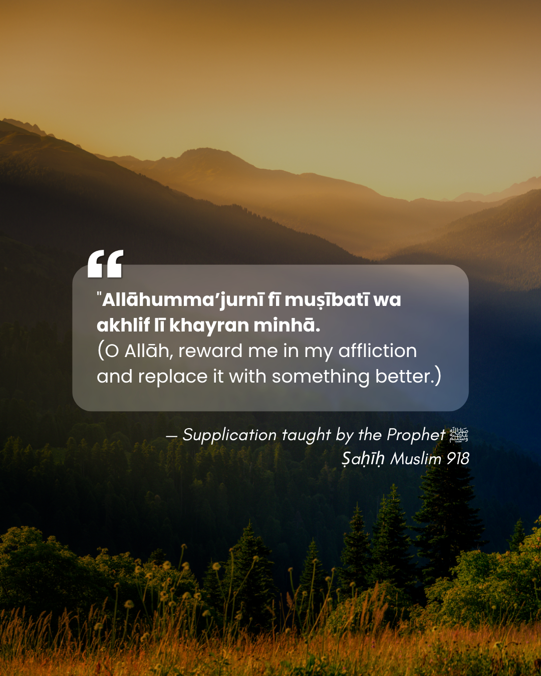 The Promise of Allāh