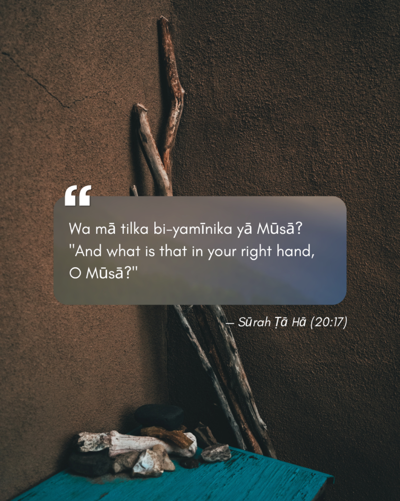 Sūrah Ṭā Hā (20:17)